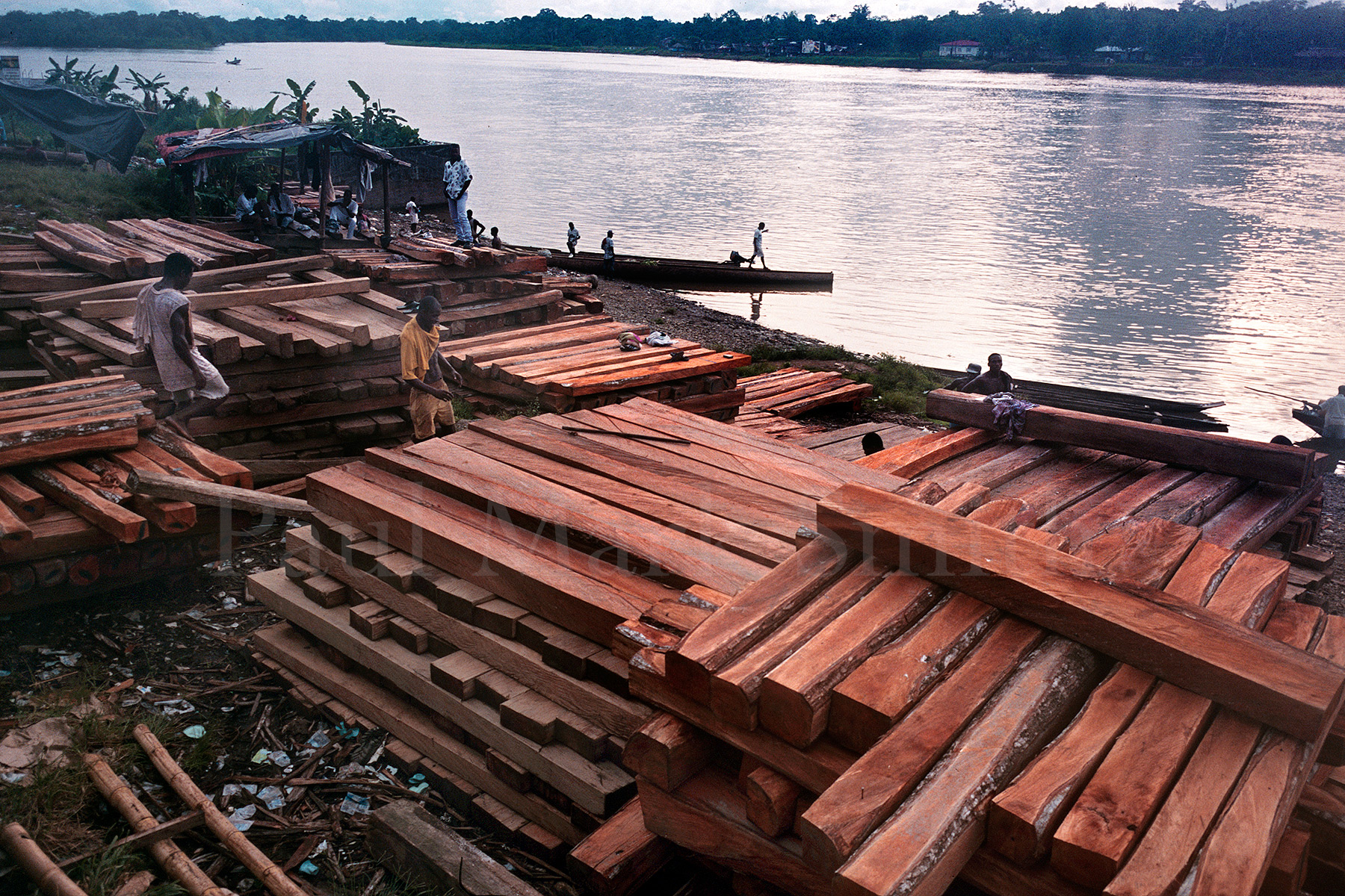 timber, deforestation, Americas, Colombia, Chocó, Quibdó