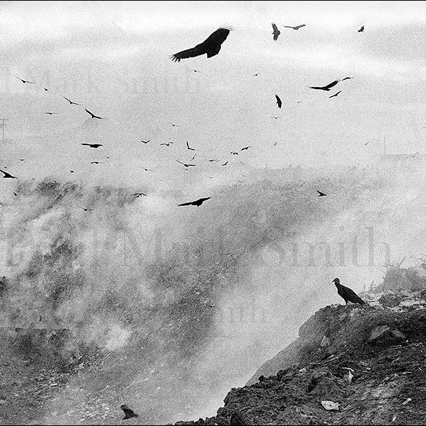 Vultures, mountains of rubbish and smoking pit
